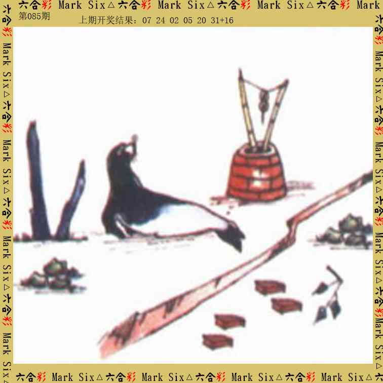 085期藏宝图[图]